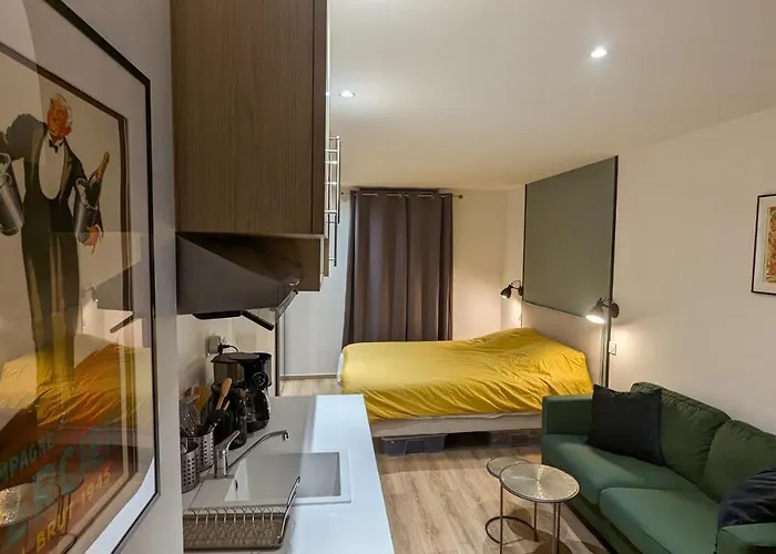 Le Petit Meslier, 15 Min Cathedrale - Old Town ריימס